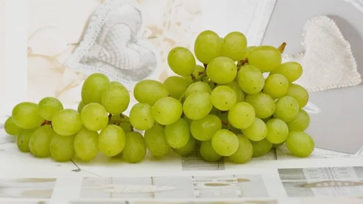La bonne façon de laver les raisins pour éliminer les germes efficacement : les experts alertent