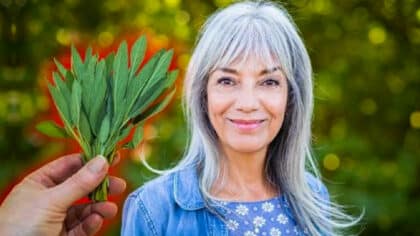 La plante qui élimine les cheveux gris sans utiliser de teintures chimiques et qui agit en 15 mn