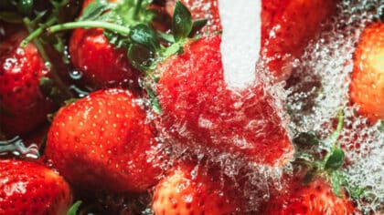 La plus grande erreur lorsque vous lavez des fraises est liée à l’eau, les experts alertent