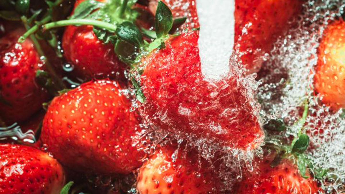 La plus grande erreur lorsque vous lavez des fraises est liée à l’eau, les experts alertent
