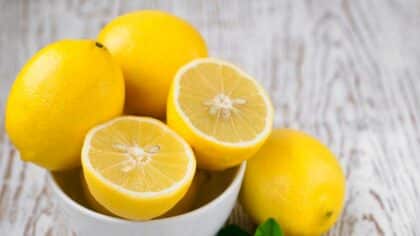 L'astuce infaillible pour garder vos citrons frais pendant des mois sans qu'ils pourrissent