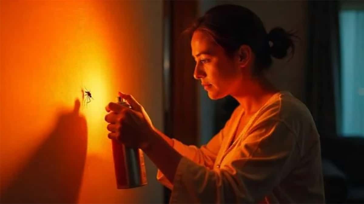 L’astuce simple pour en finir avec les piqûres de moustiques la nuit en été