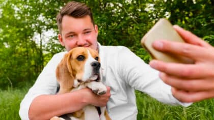 Les vétérinaires lancent une alerte urgente aux propriétaires de chiens