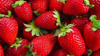 L’ingrédient que les chefs mettent sur les fraises pour rehausser leur saveur: ce n’est ni le sucre ni le jus