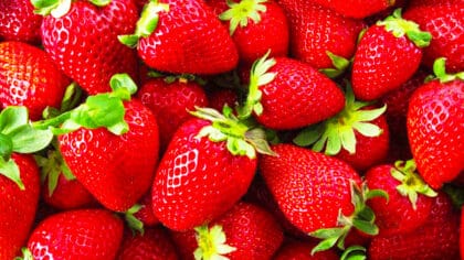 Marre des fraises qui pourrissent ? L’endroit où les conserver, ce n’est ni le frigo ni la coupe à fruits
