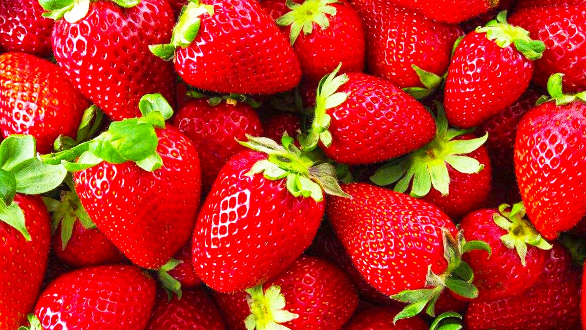 Marre des fraises qui pourrissent ? L’endroit où les conserver, ce n’est ni le frigo ni la coupe à fruits