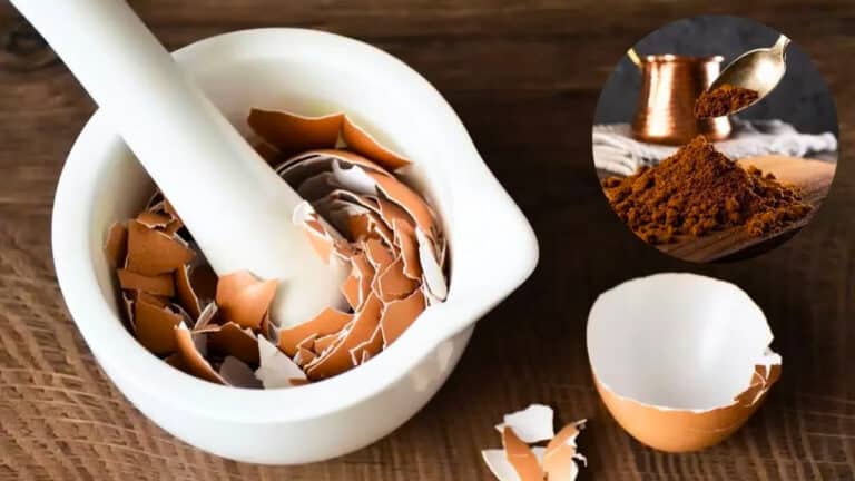 Mélanger des coquilles d'œufs avec du café : pourquoi est-ce recommandé et à quoi ça sert ?