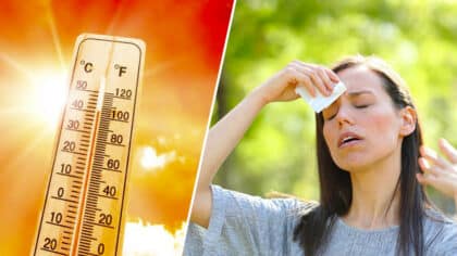 Météo : une 2ème vague de chaleur prévue la semaine prochaine ? Les prévisions attendues