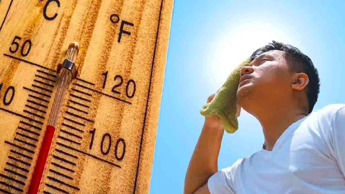 Météo : vers une canicule extrême ? Les prévisions attendues pour juillet et août