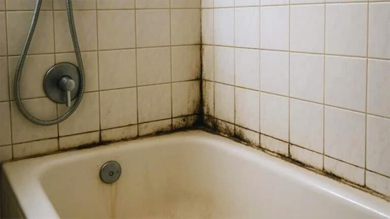 Ne faites surtout pas cela après la douche: les joints de la salle de bain deviendront noirs et vous ne pourrez plus rien faire