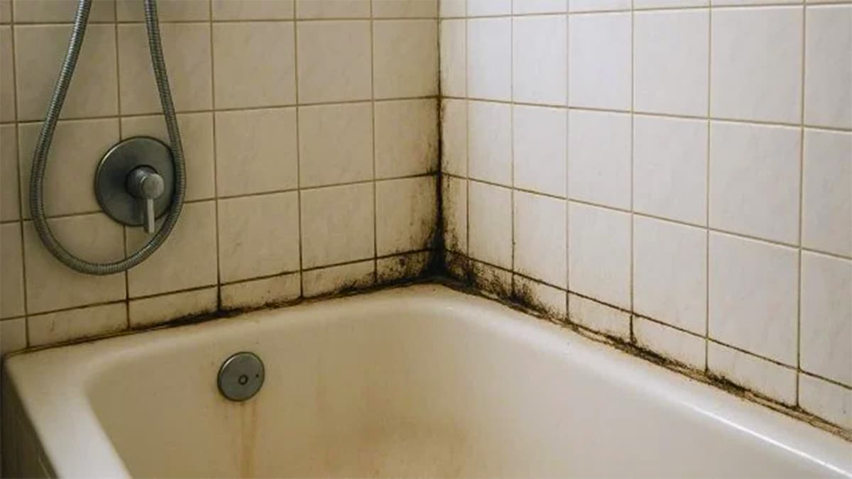 Ne faites surtout pas cela après la douche: les joints de la salle de bain deviendront noirs et vous ne pourrez plus rien faire