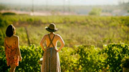 Ni Zara ni Mango : la robe à imprimé animal la plus recherchée est chez Lidl et à moins de 9 €