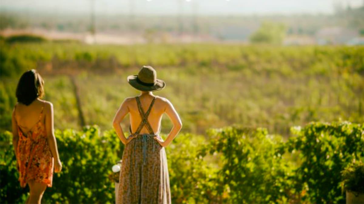 Ni Zara ni Mango : la robe à imprimé animal la plus recherchée est chez Lidl et à moins de 9 €