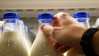 Ni avoine ni soja : le lait qu’une personne diabétique devrait boire pour préserver sa santé