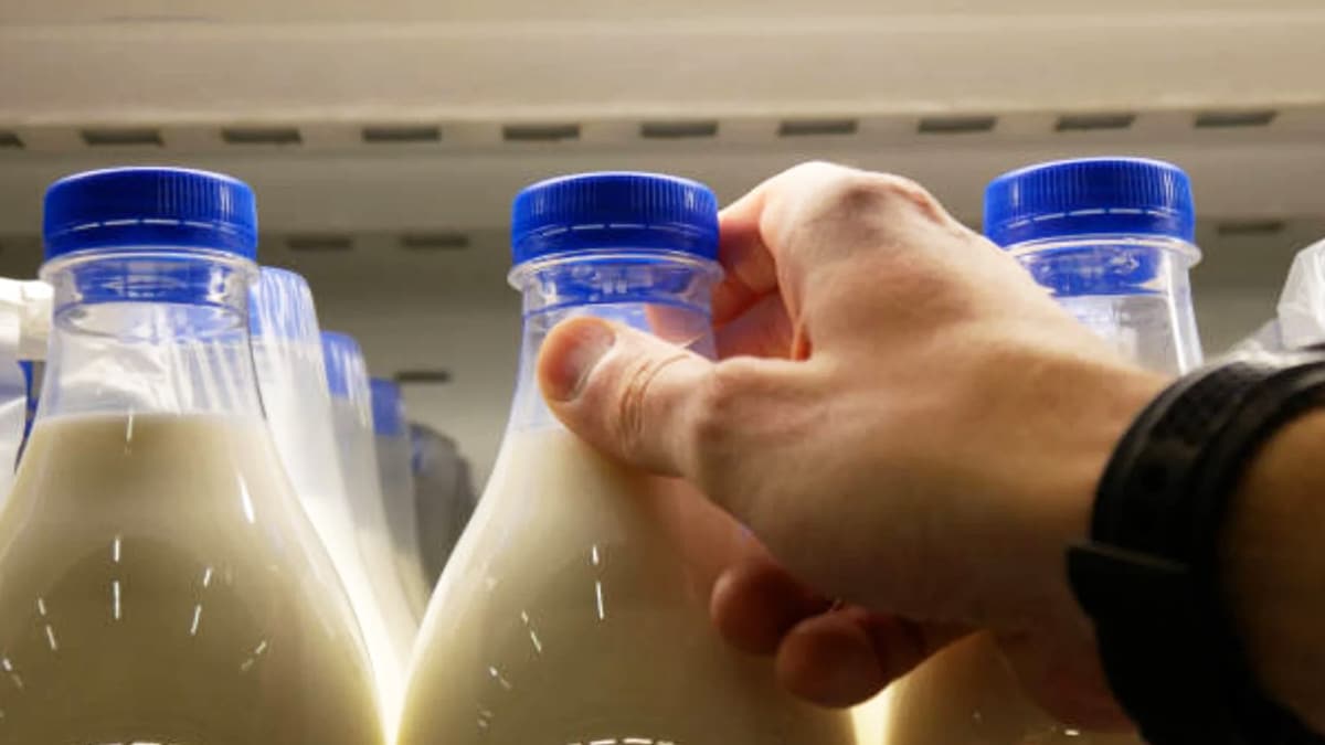 Ni avoine ni soja : le lait qu’une personne diabétique devrait boire pour préserver sa santé