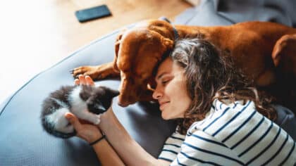 Ni chien ni canari : le meilleur animal de compagnie pour réduire le stress après 65 ans