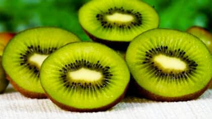 Ni coupe à fruits ni frigo: l’astuce magique pour que les kiwis mûrissent plus vite selon des experts