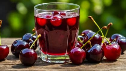 Ni eau ni bière: la boisson recommandée aux plus de 65 ans pour rester hydraté et lutter contre la chaleur