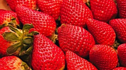 Ni légume ni fruit : voici ce que sont vraiment les fraises selon les experts