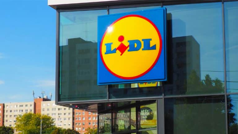 Oubliez la chaleur avec ce produit Lidl qui est le plus vendu de l'été, les ventes s'envolent déjà