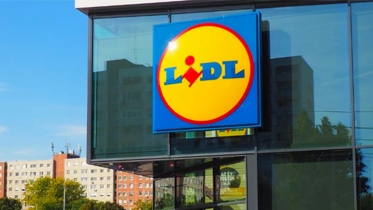 Oubliez la chaleur avec ce produit Lidl qui est le plus vendu de l'été, les ventes s'envolent déjà