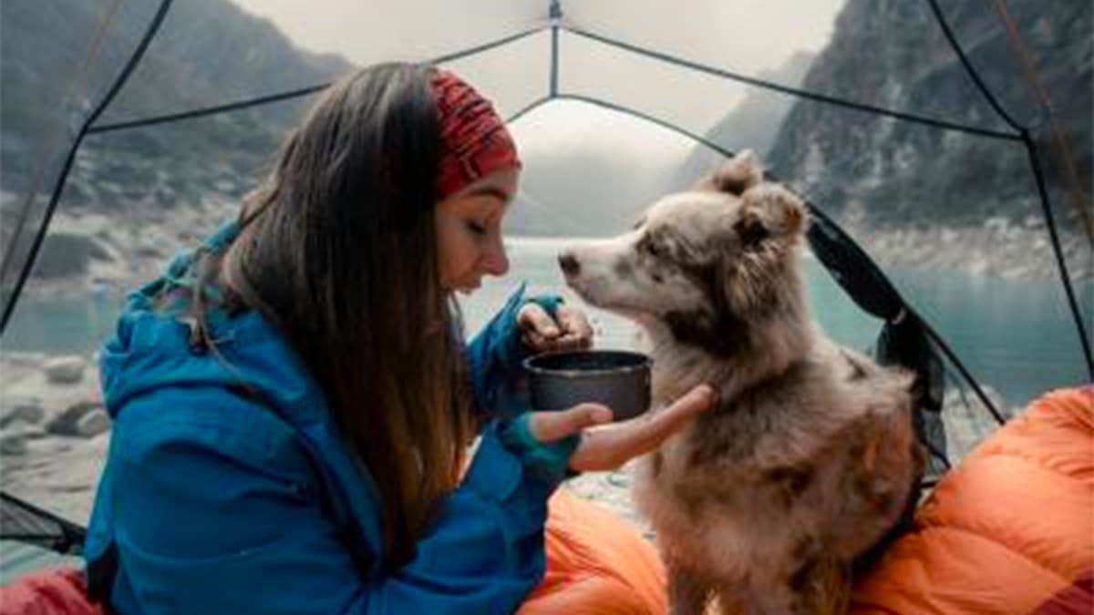 Que signifie le fait qu’une personne parle à son animal de compagnie selon la psychologie