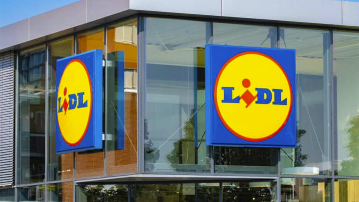 Ruée chez Lidl pour ce produit à moins de 40 € qui va changer votre été