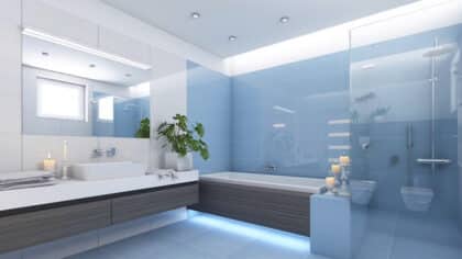 Si vous voyez cet insecte dans votre salle de bain, c’est un signe qui doit vous alarmer