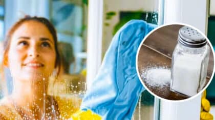 Vous devriez laver vos vitres avec du sel : pourquoi cela est recommandé par tous les experts