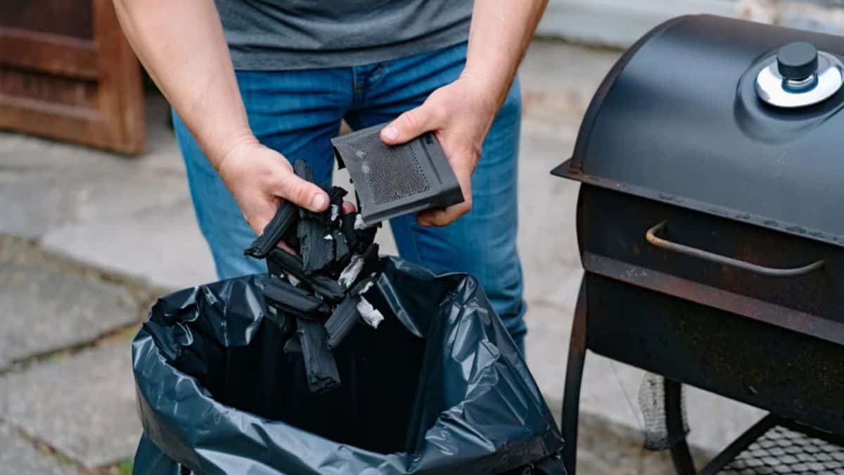 Ce déchet du barbecue transforme vos plantes à condition de ne pas faire cette erreur
