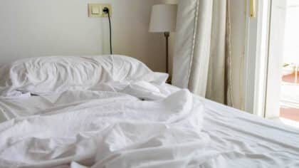Cet insecte grimpe dans votre lit pendant que vous dormez sans que vous vous en rendiez compte: vous devez changer vos draps