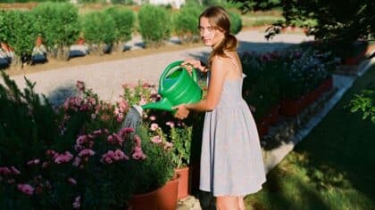 Le meilleur moment pour arroser vos plantes en été pour qu'elles ne sèchent pas selon les jardiniers