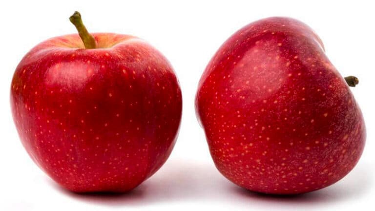 Les pommes sont interdites aux personnes qui prennent ces médicaments