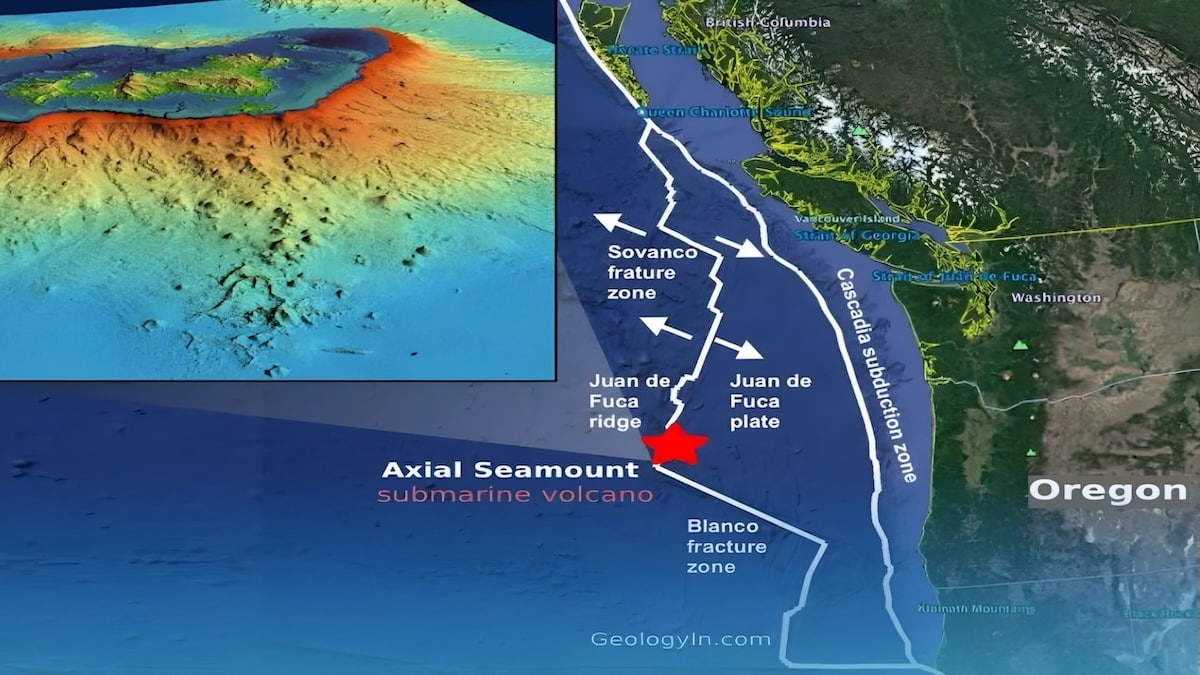 Axial Seamount : un volcan sous-marin prêt à se réveiller en 2025
