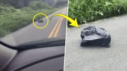 Sur la route, elle remarque un sac poubelle qui bouge et reste sans voix