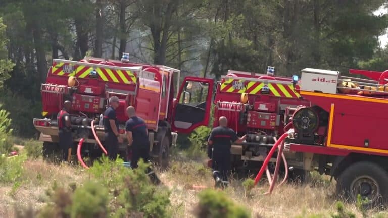 17 000 hectares partis en fumée dans l'Aude - Les pompiers viennent à bout de l'incendie après un combat acharné