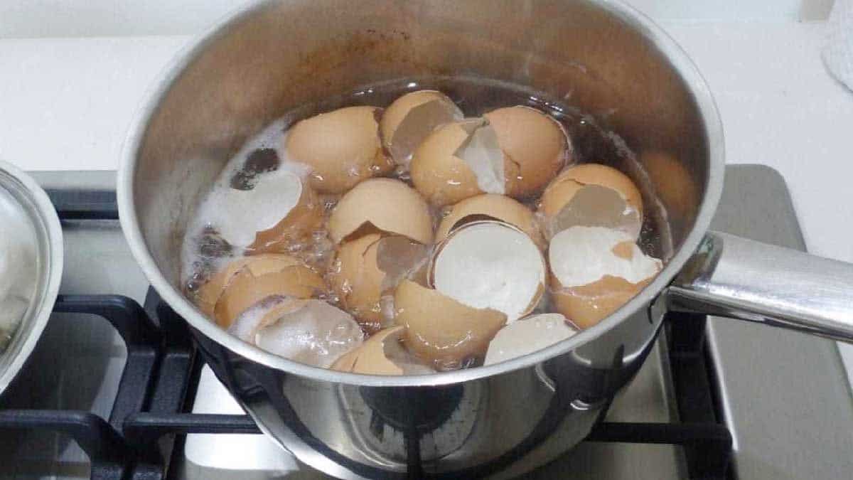 Raison pour laquelle on fait tremper les coquilles d'œufs dans de l'eau chaude
