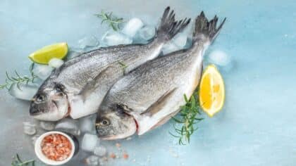 Poisson : 9 effets santé prouvés par la recherche scientifique