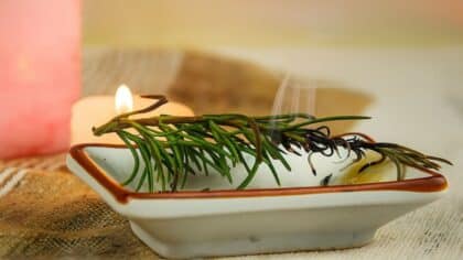 Brûler du romarin comme encens naturel : ce que la science dit sur ses effets