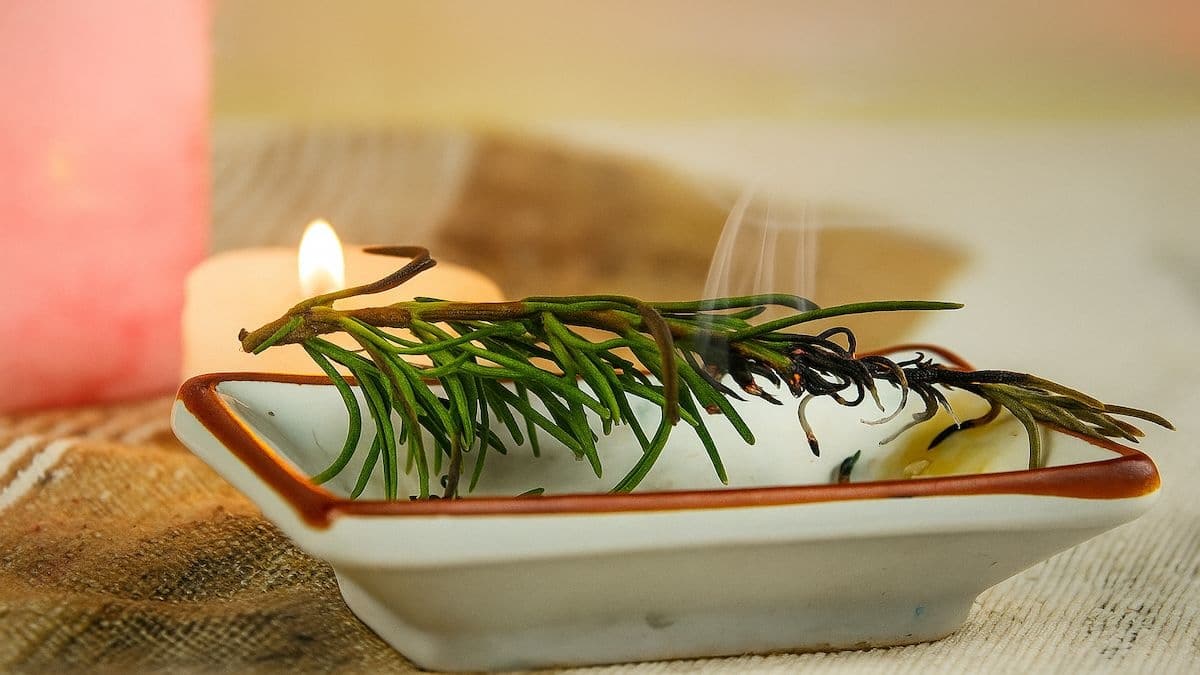 Brûler du romarin comme encens naturel : ce que la science dit sur ses effets