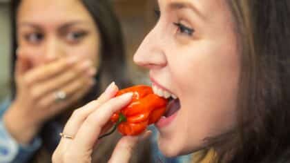 Une femme envoie son amie à l'hôpital après lui avoir fait goûter un authentique chili mexicain