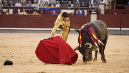 Un jeune torero meurt en direct, empalé par un taureau de 700 kilos. La vidéo choque le monde entier