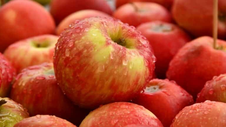 Ce que personne ne vous a dit sur les pommes : un bouclier naturel contre le cancer et les maladies cardiaques
