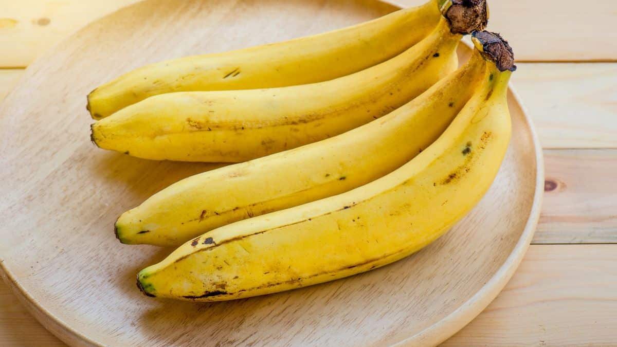 Que se passe-t-il si vous mangez des bananes tous les jours ? Les médecins ont révélé des bienfaits qui vous surprendront