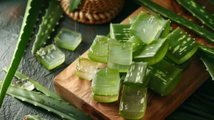 Douleur, inflammation ou acné ? Un simple morceau d'aloe vera suffit pour vous débarrasser de ce problème