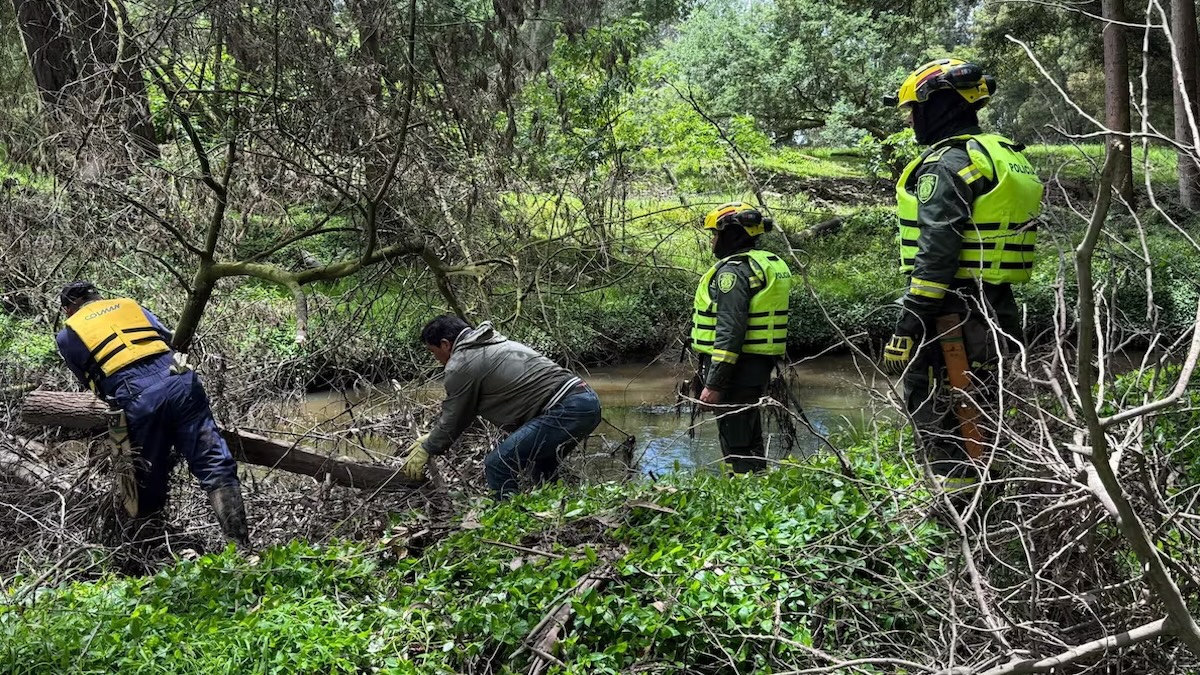 Elle a disparu sans laisser de traces. Après des jours de recherche, ils retrouvent la fille dans la forêt, son père a du mal à trouver les coupables
