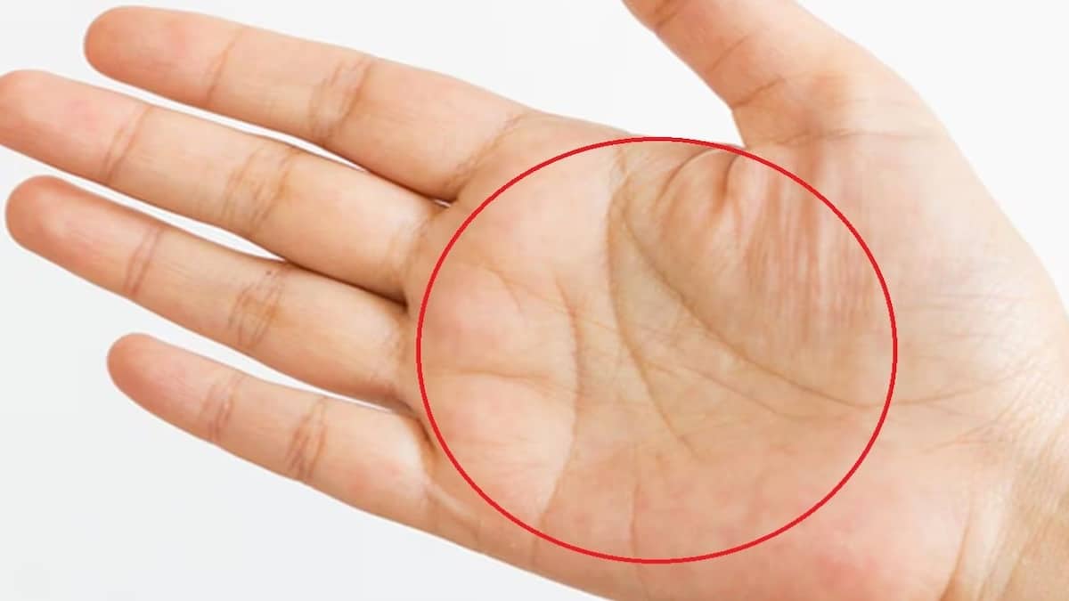 Que signifie le M dans la paume de votre main ? Découvrez le mystère qui se cache derrière ce signe unique