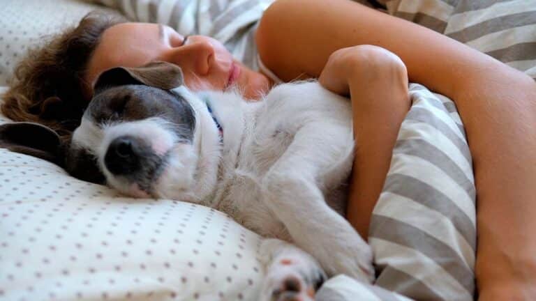 Votre chien dort avec vous et vous ne savez pas pourquoi ? La raison vous surprendra