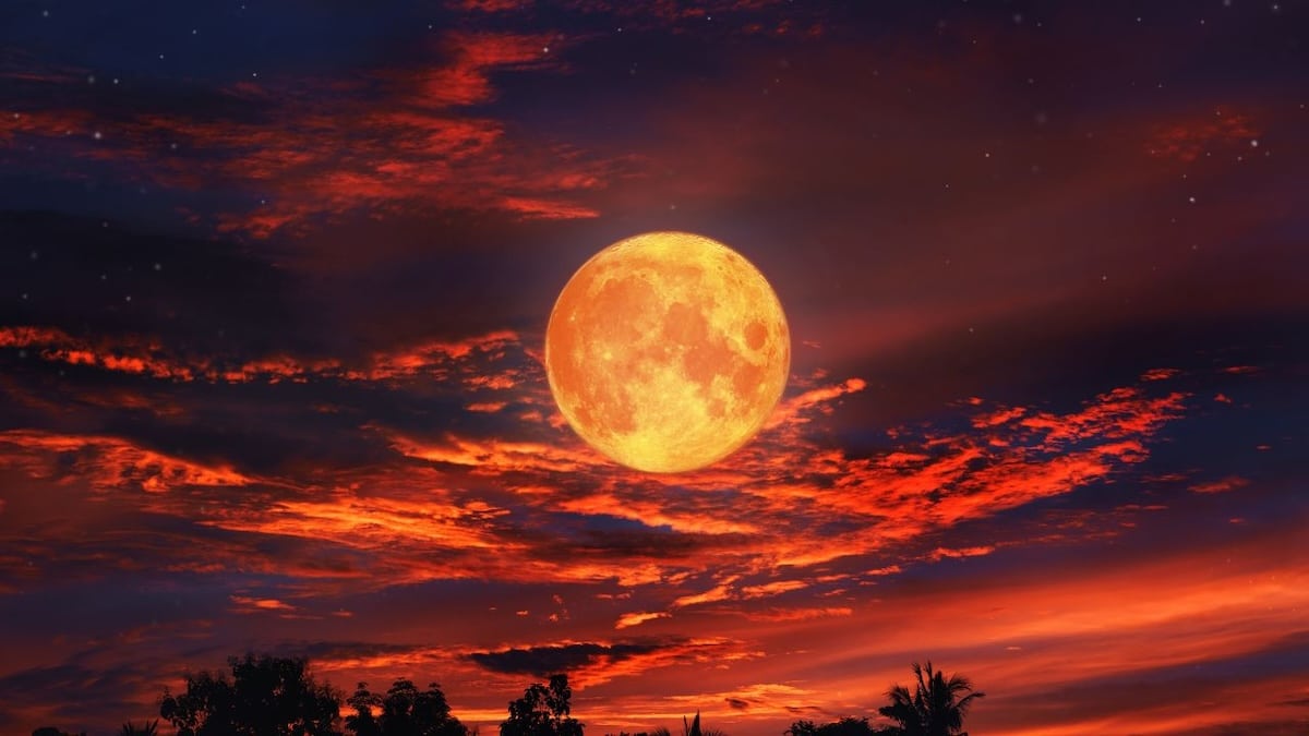 Pleine Lune de Sang de 2025 : Les astres prédisent un changement important pour ces quatre signes en septembre